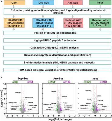 Analysis of Chronic Mild Stress-Induced Hypothalamic Proteome: Identification of Protein Dysregulations Associated With Vulnerability and Resiliency to Depression or Anxiety